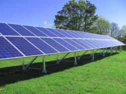 Large line of solar panels in vibrant grass