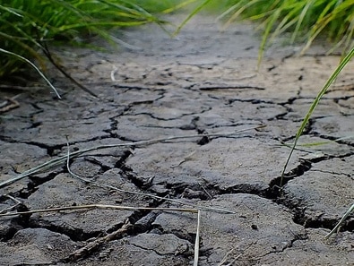 Large cracks in dry soil