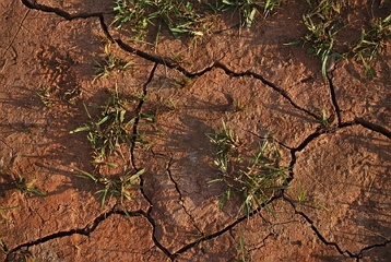 Dry soil with many cracks