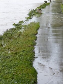 Standing water in flooded yard