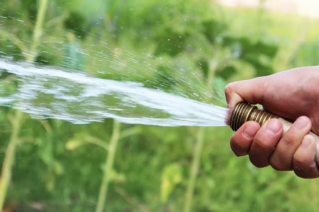 Man using thumb to cause hose to spray water