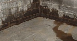 water seepage in the basement