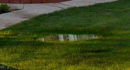 Standing water in a lawn
