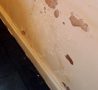 wall discoloration and chipping paint