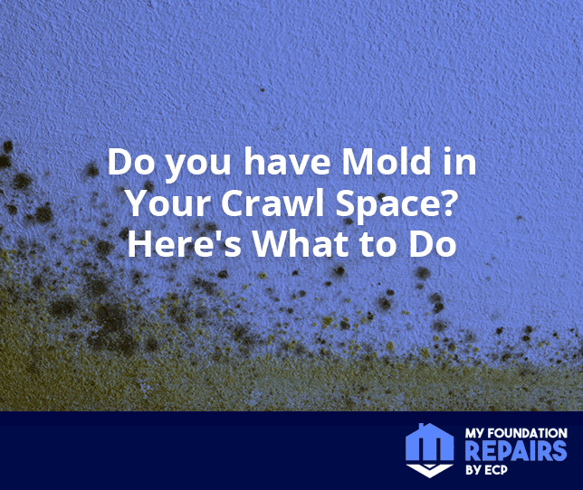 do you have mold in your crawl space graphic