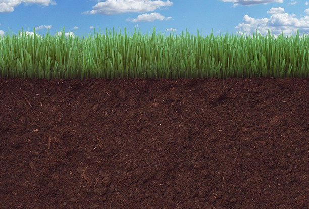 Cutaway image of soil with grass on top, representing Geotechnical Solutions